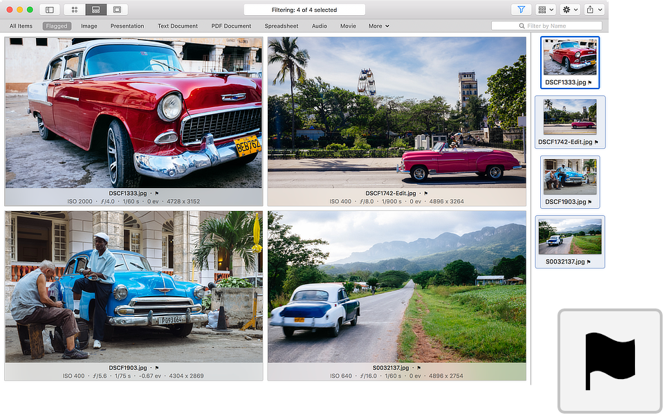 fileloupe hide video controls fileloupe hide video controls